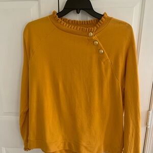 TALBOTS GORGEOUS SWEATSHIRT
